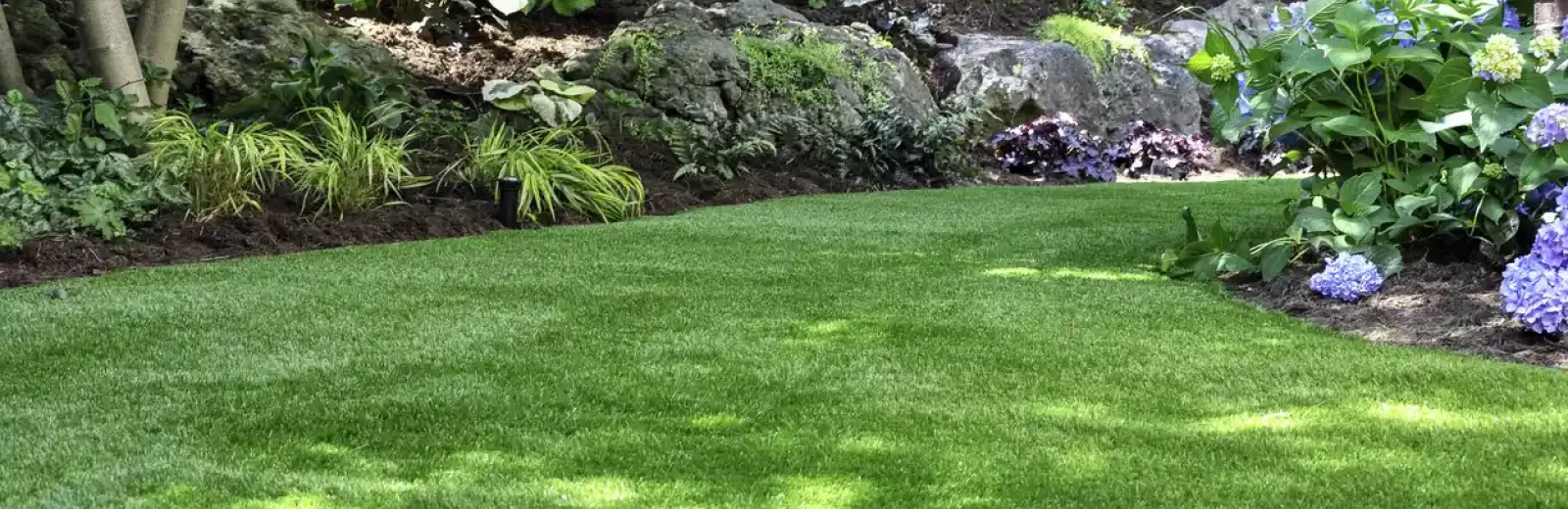 beautiful green lawn