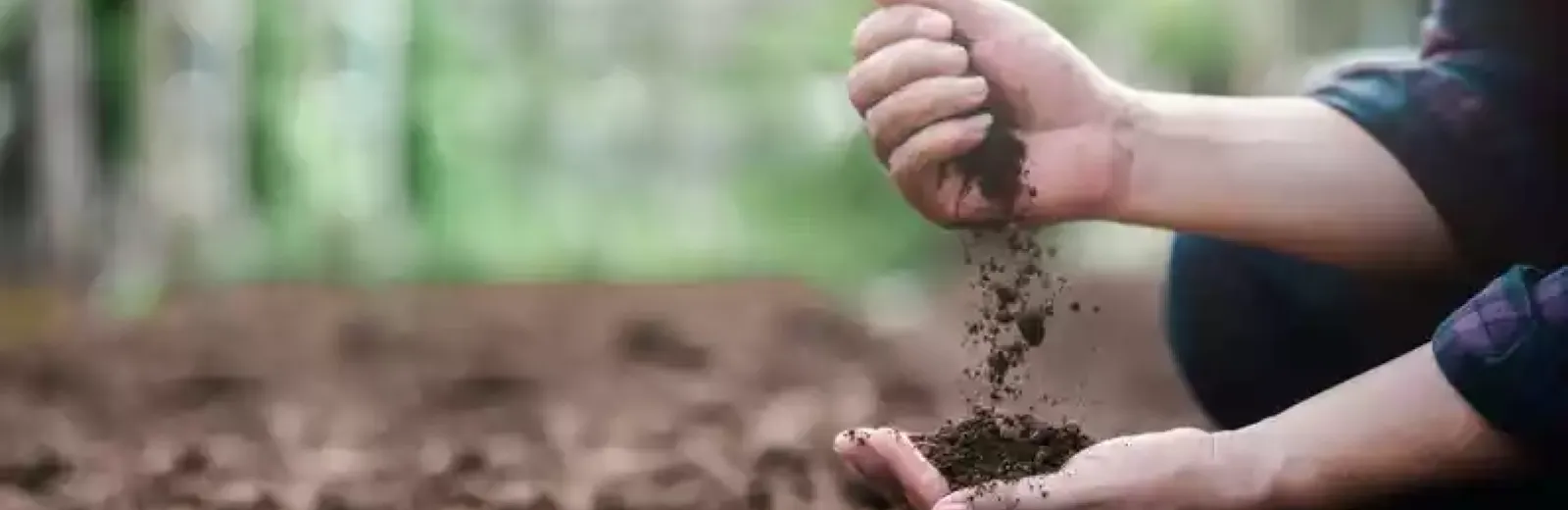 holding-soil-in-hand-hero