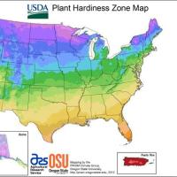 USDA Map