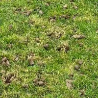 aeration