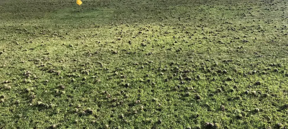 aeration-lawn